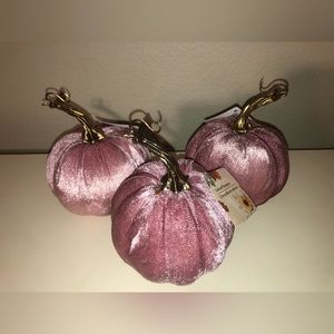 Six Halloween Pink Pumpkins